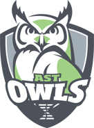 DSST18001-Owls_WhiteFill